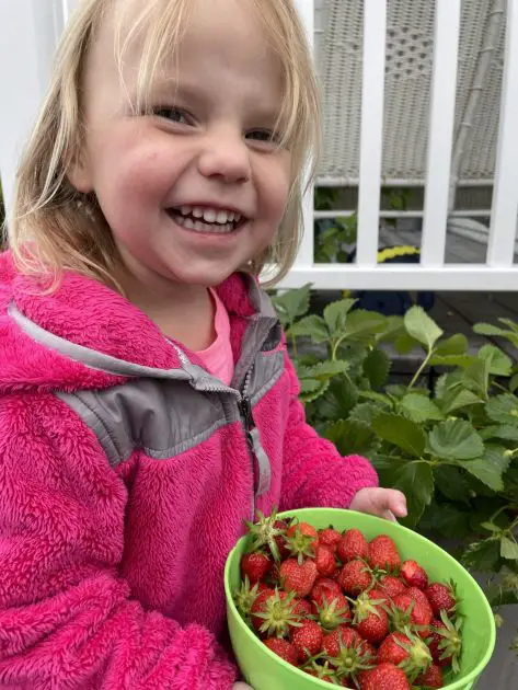 A picture of a young girl holding a bowl of strawberries.