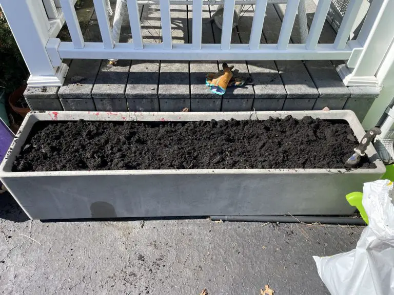 A freshly prepped container ready for strawberries.