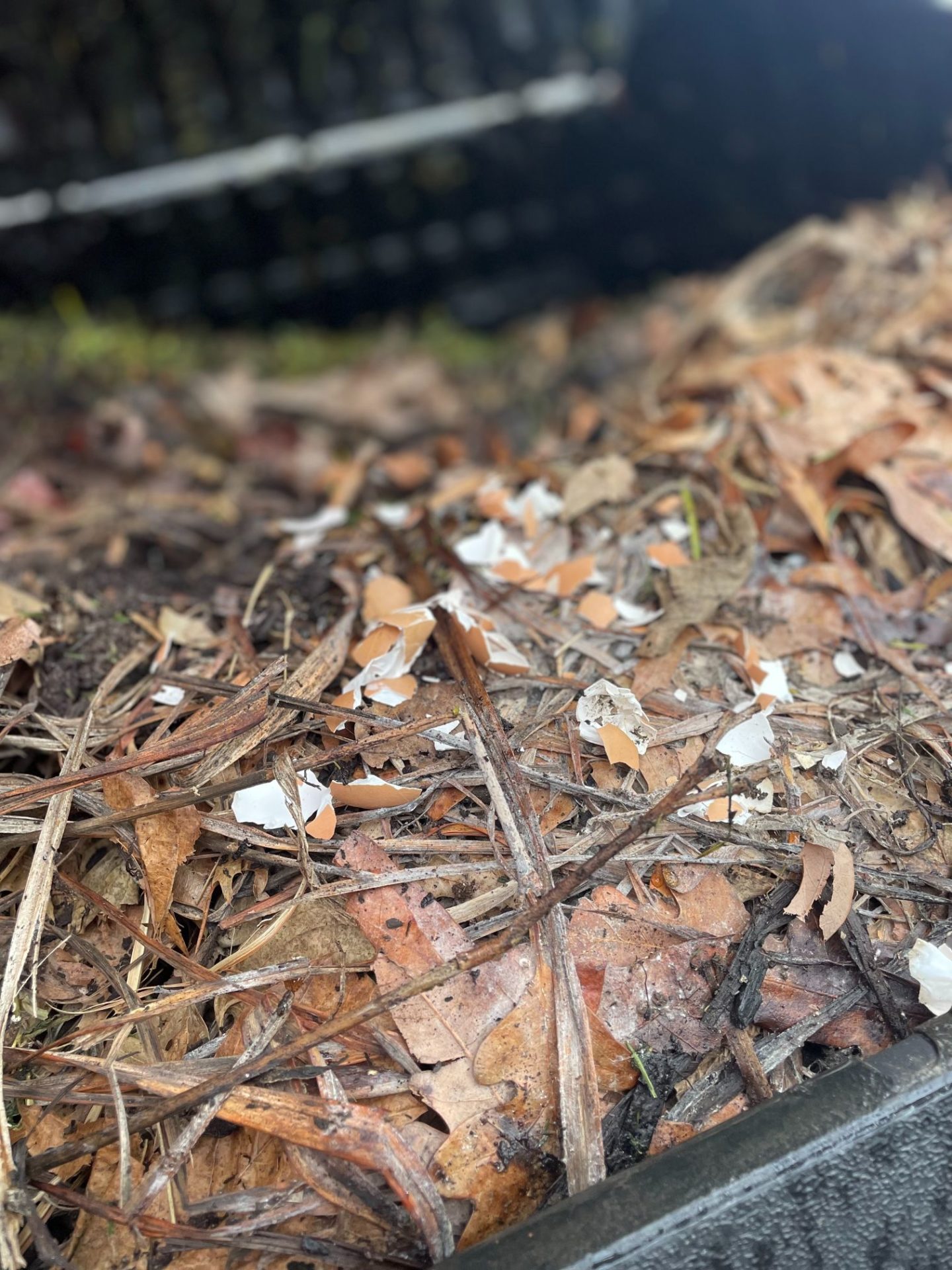 Leaves, eggshells, and other yard waste in a compost tumbler.