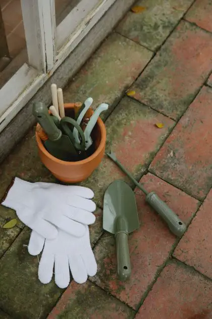 gardening tools in pot near gloves