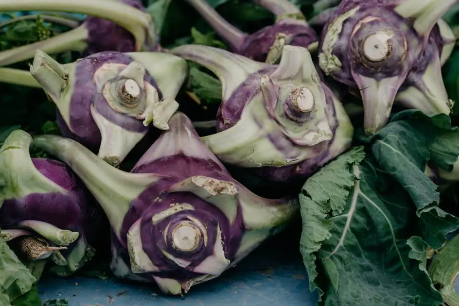 A close up of purple kohlrabi.