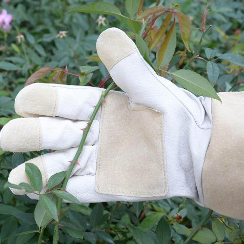 A close up of gardening gloves holding a rose with thorns.