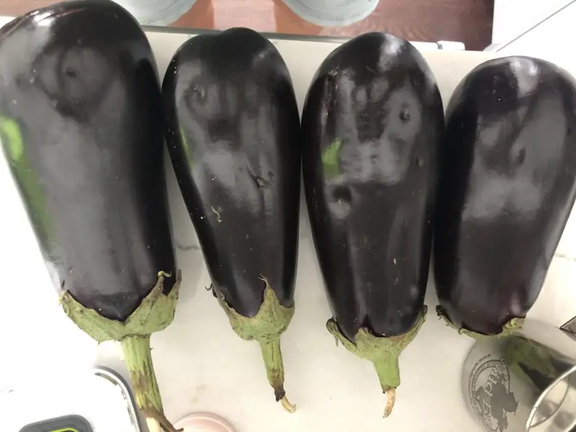 Four large eggplant sit on a white kitchen counter.