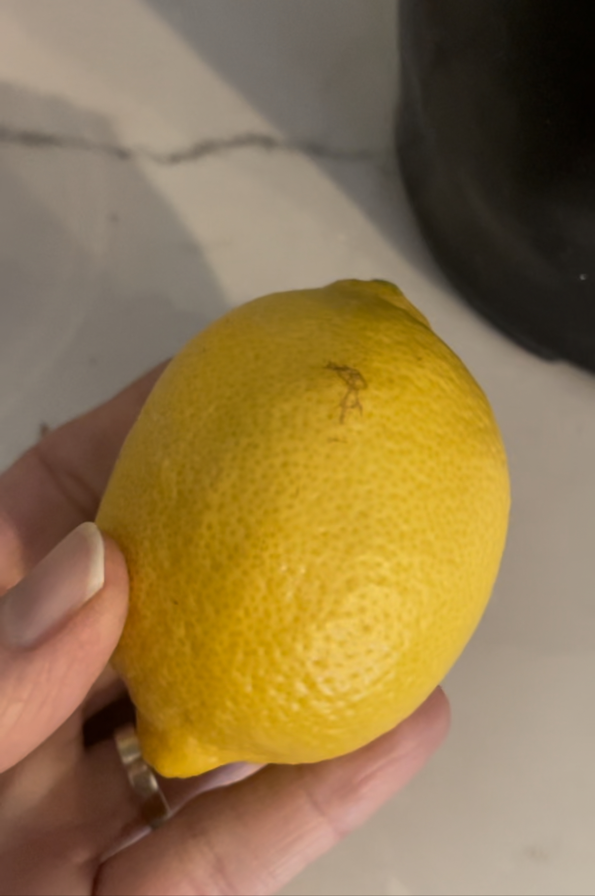 A ripe, organic yellow lemon.