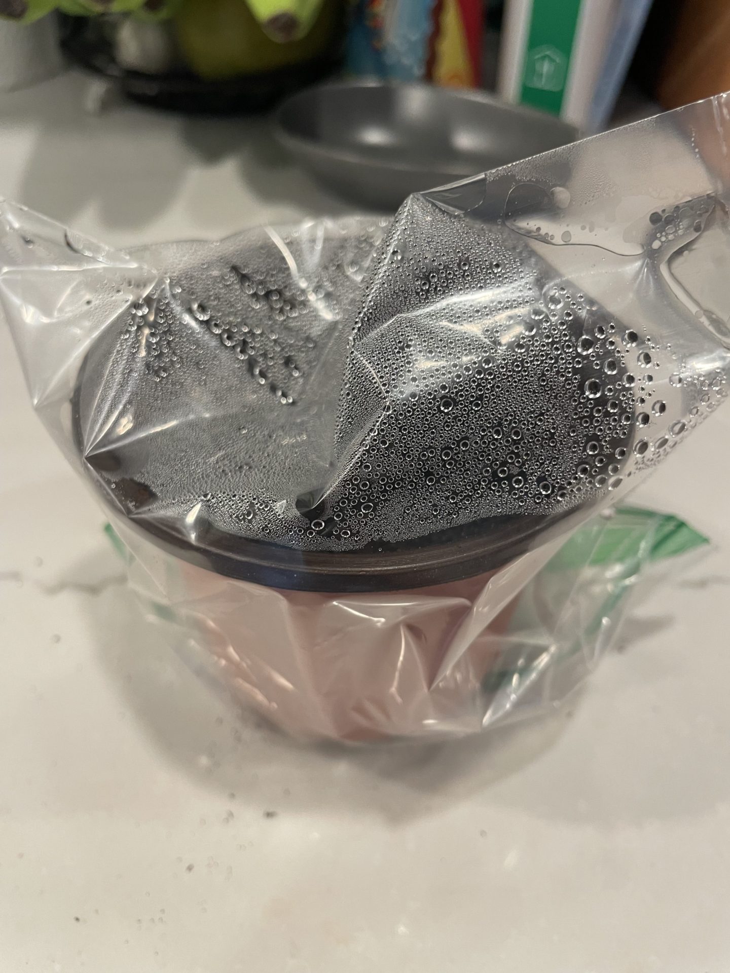 A seeding pot covered with a plastic bag to hold in the humidity.