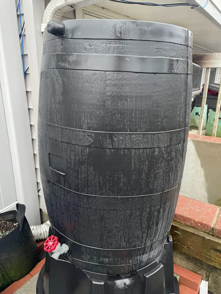 a rain barrel collecting rain.