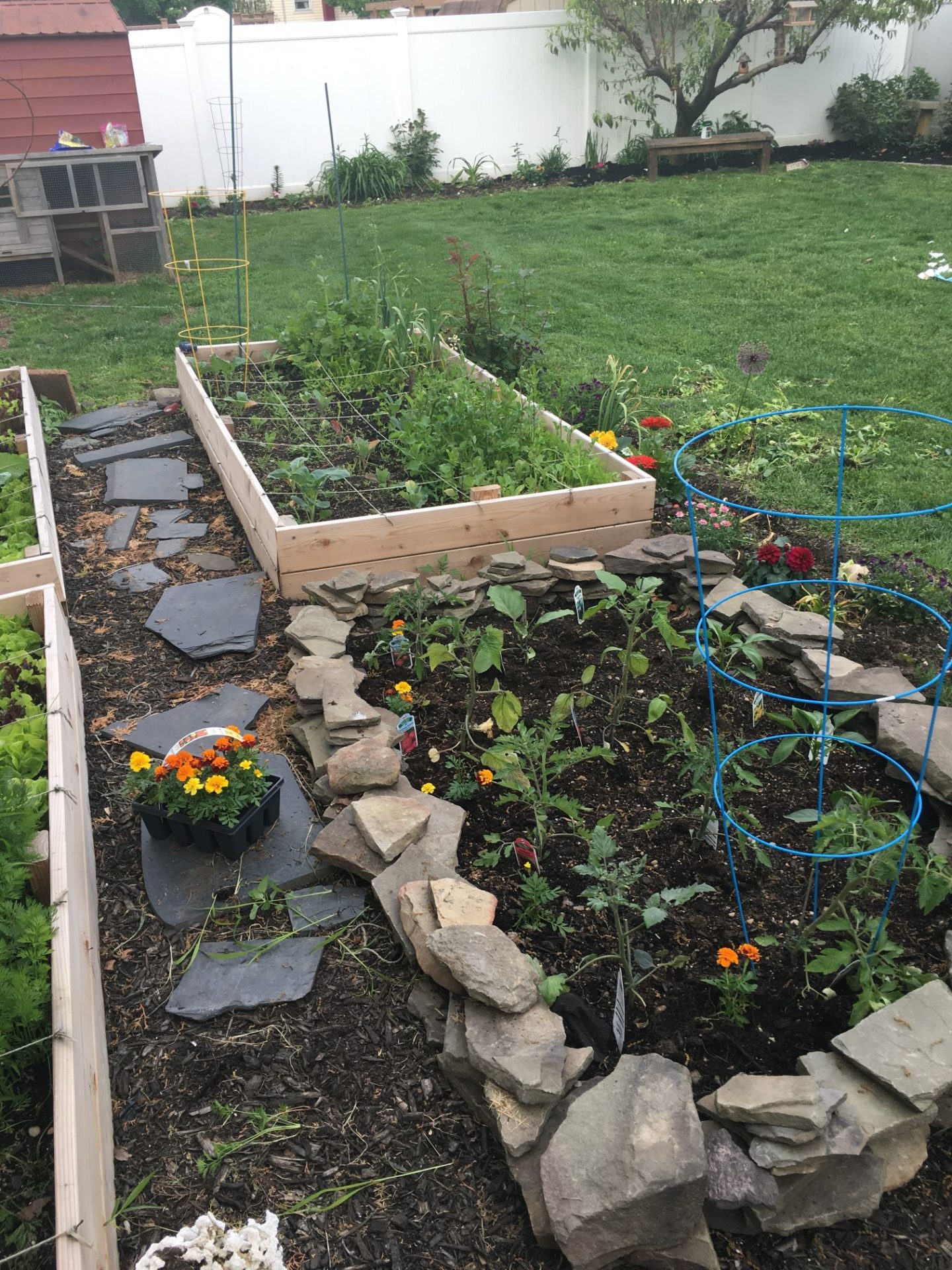 Two raised beds with vegetables growing in them.