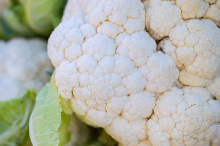 A close up of white cauliflower.