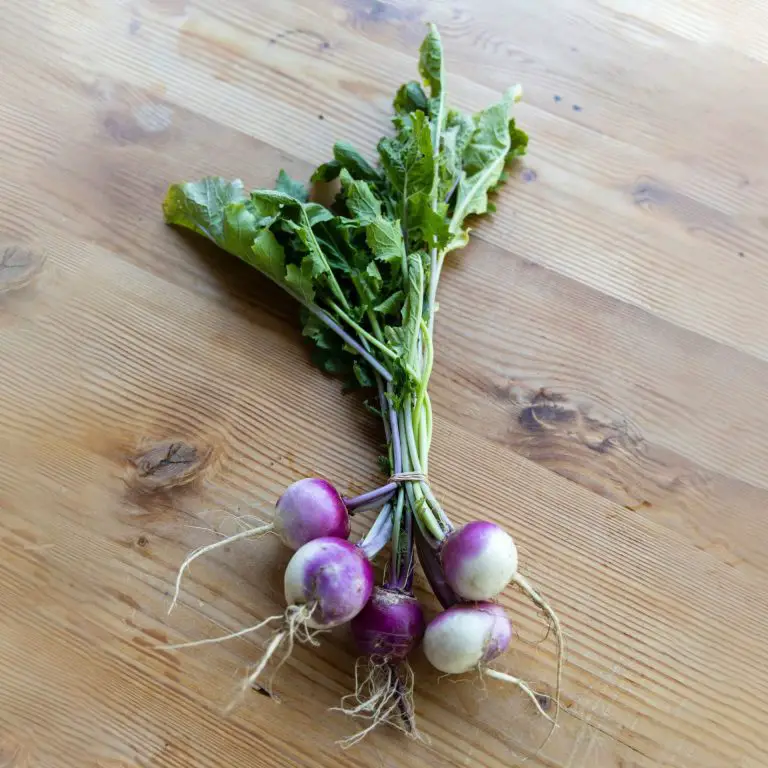 A close up of turnips on a wood table.