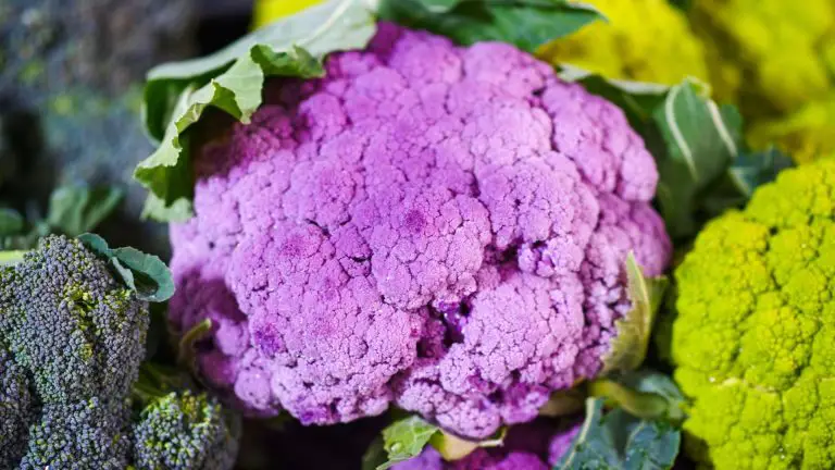 Close up picture of red cauliflower.