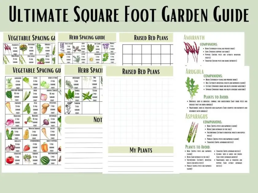 Picture of our Ultimate Square Foot garden Guide