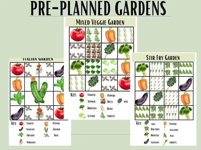 Square Foot Garden Guide - The Ample Garden