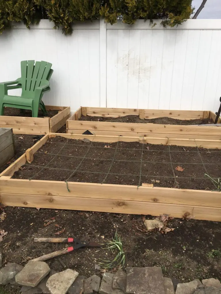 A raised bed with a grid for square foot gardening. Raised bed gardening for beginners.