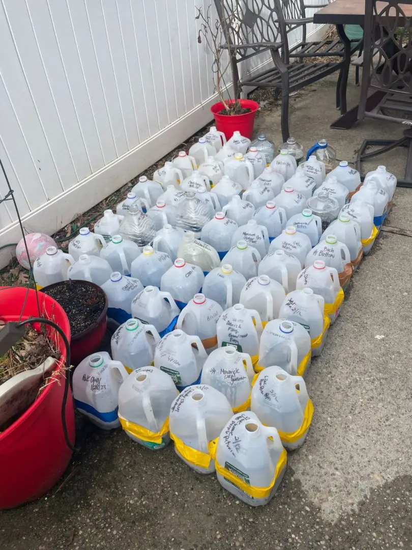 A picture of bottles outside on a patio that have been winter sown.