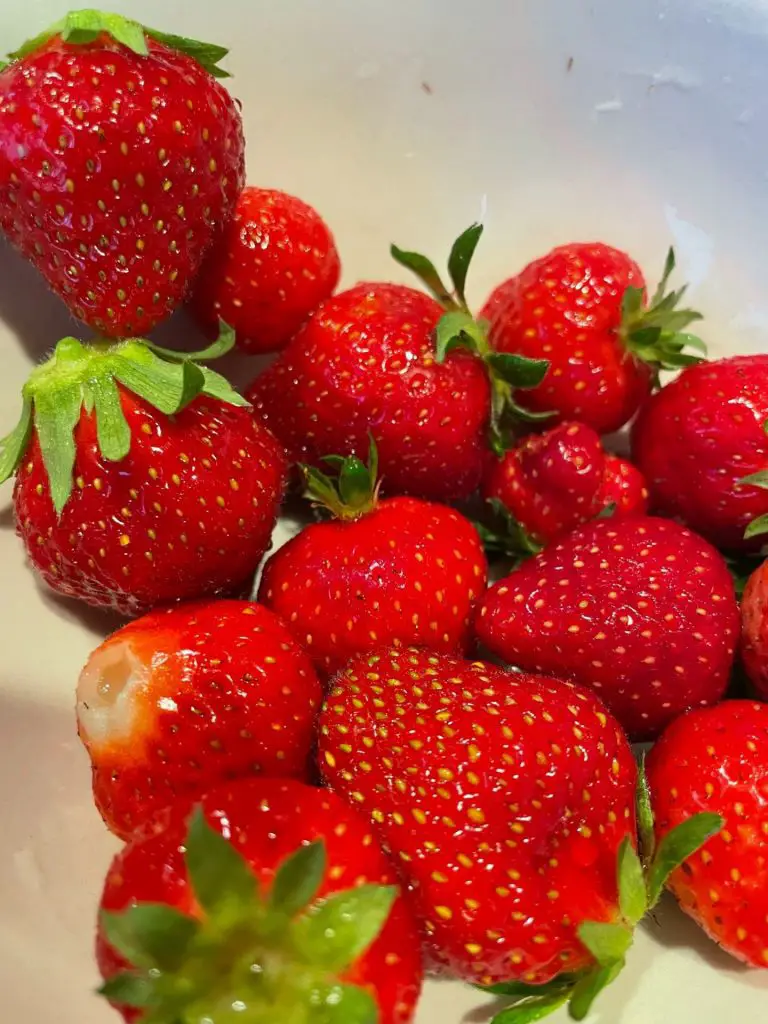 A close up of freshly picked strawberries.