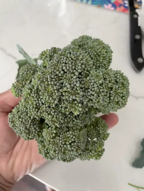 A picture of broccoli florets.