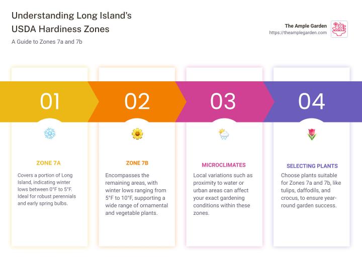 Infographic description: This detailed infographic outlines Long Island's USDA Hardiness Zones. The top section provides a color-coded map showing Zones 7a and 7b clearly delineated across Nassau and Suffolk counties. Below the map, a chart lists popular plants suitable for each zone, including bulbs like tulips and daffodils, along with their optimal planting times. The infographic concludes with tips on how to evaluate your specific microclimate within these zones to further refine your planting strategy. - long island gardening zone infographic pillar-4-steps