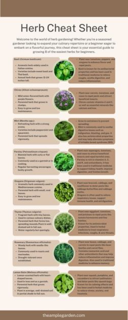 Picture of Herb Gardening for Beginners cheat sheet.