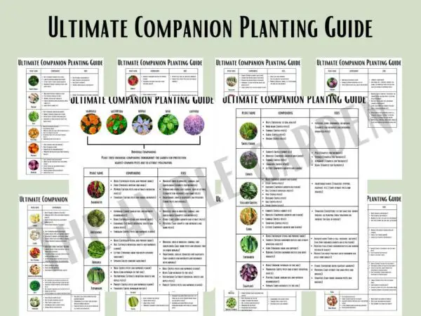 Ultimate Companion Planting Guide