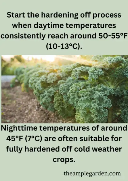 A chart explaining how to harden off cold weather crops.