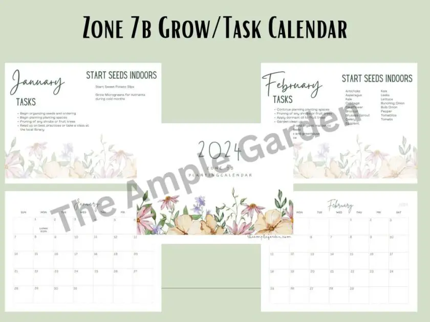 zone 7b planting calendar