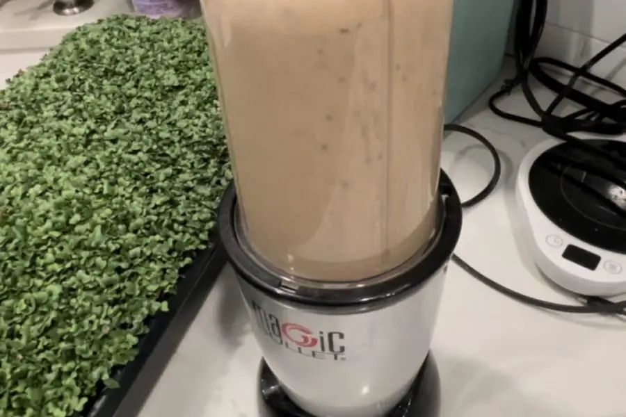 A chocolate shake with microgreens mixed in.